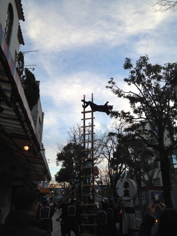 小笠　若鳶会様梯子のり